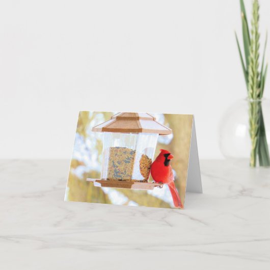 Cardinal à la source - Carte blanche (Devant)