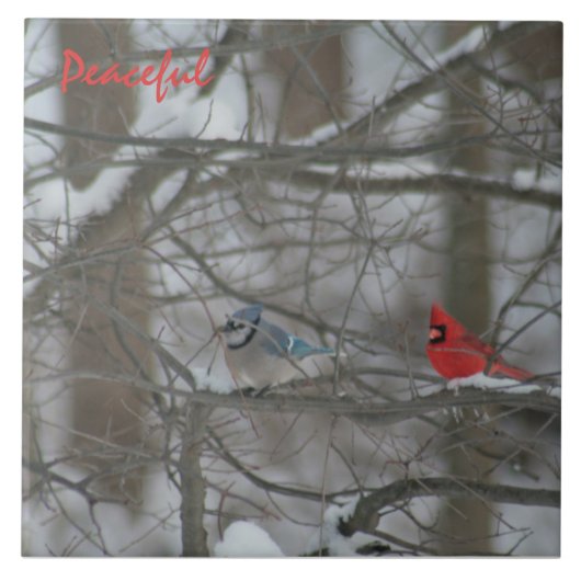 Cardinal and Jay Tegeltje (Voorkant)