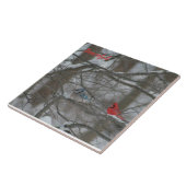 Cardinal and Jay Tegeltje (Zijkant)