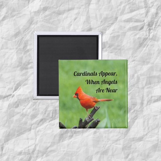 Cardinal Apparaît Angels Près De La Décor À Aimant