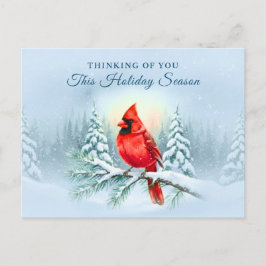 Cardinal Bird Sympathy Condolence Christmas Winter Feestdagenkaart
