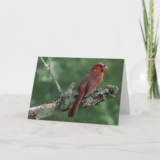 Cardinal Blank Carte pour notes