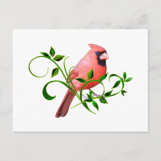 Cardinal Briefkaart
