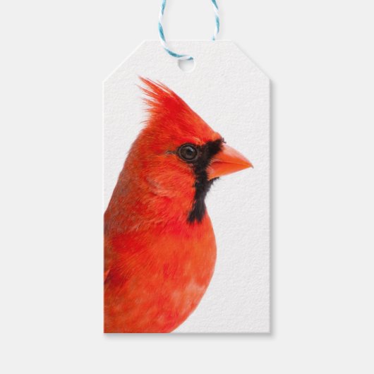 Cardinal Cadeaulabel (Voorkant)