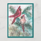 Cardinal Carte de vacances (Devant)