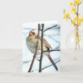 Cardinal - Carte de voeux vierge (Fleur jaune)