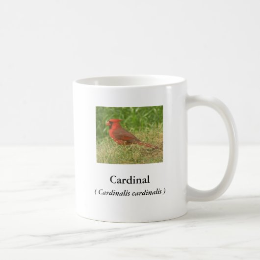 Cardinal Coffee Mug (Droite)