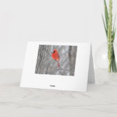 Cardinal Creek Profil Carte de voeux (Dos)