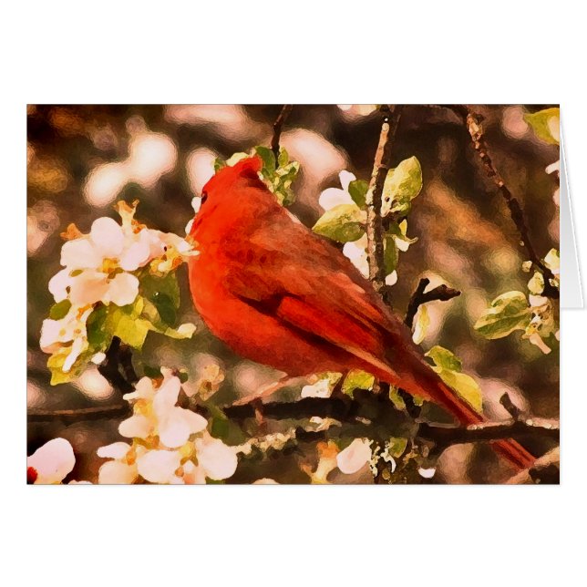 Cardinal dans des fleurs d'Apple (Devant horizontal)