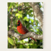 Cardinal dans l'arbre Personnalisé (Dos)