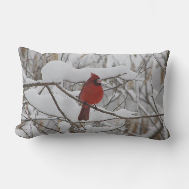 Cardinal dans le coussin de neige d'hiver (Recto)