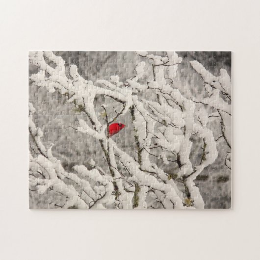 Cardinal dans le puzzle de neige (Horizontal)