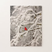 Cardinal dans le puzzle de neige (Vertical)