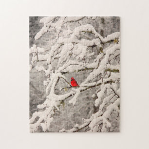Cardinal dans le puzzle de neige