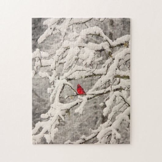 Cardinal dans le puzzle de neige (Vertical)