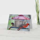 Cardinal dans une carte de note d'orage de neige (Dos)