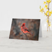 Cardinal dans une carte de note d'orage de neige (Fleur jaune)