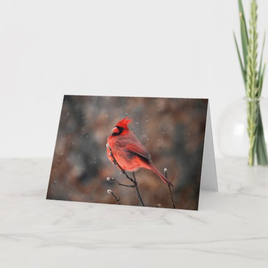 Cardinal dans une carte de note d'orage de neige (Devant)