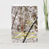 Cardinal de Noël Cartes de fin de année (Dos)