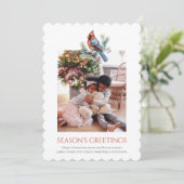 Cardinal de Noël Modèle photo d'oiseaux (Debout devant)