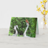 Cardinal debout sur Pelicans Carte vierge (Fleur jaune)