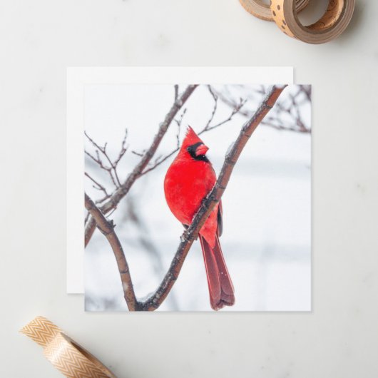 Cardinal d'hiver Carte pour notes plat (Devant/Arrière en situation)