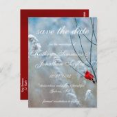 Cardinal d'hiver enregistrer la date Carte postale (Devant / Derrière)