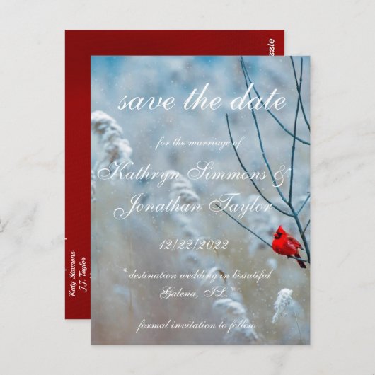 Cardinal d'hiver enregistrer la date Carte postale (Devant / Derrière)