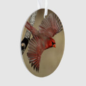 Cardinal du nord en vol (devant)