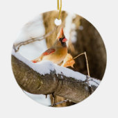 Cardinal du Nord | Ornement en céramique (Devant)