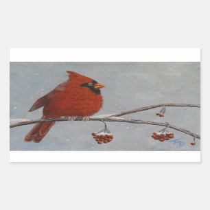 Cardinal du Nord - Stickers