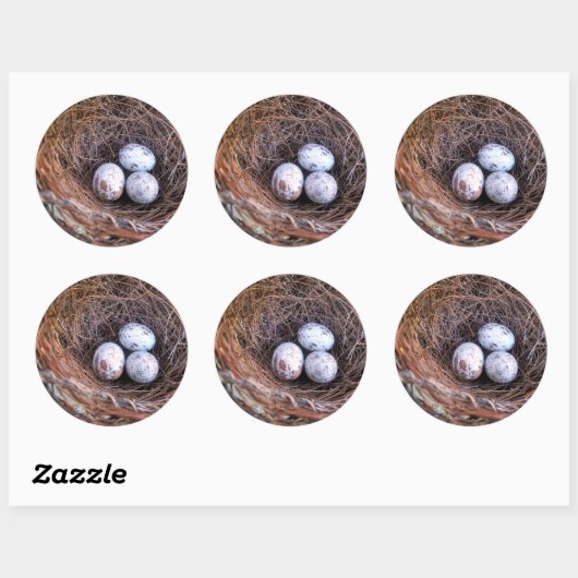 Cardinal Eggs Sticker (Feuille)