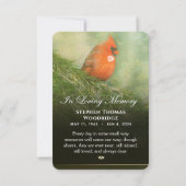 Cardinal en épinette 3,5 x 5 Carte de remerciement (Dos)