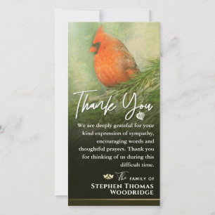 Cardinal en épinette 4x8 Carte de remerciements de