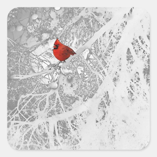 Cardinal en Sticker d'hiver (Devant)