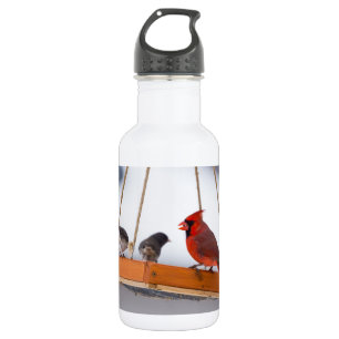 Cardinal et Bouteille d'eau Juncos
