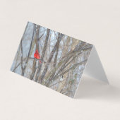 Cardinal et carte de voeux pour le poulet (Front)