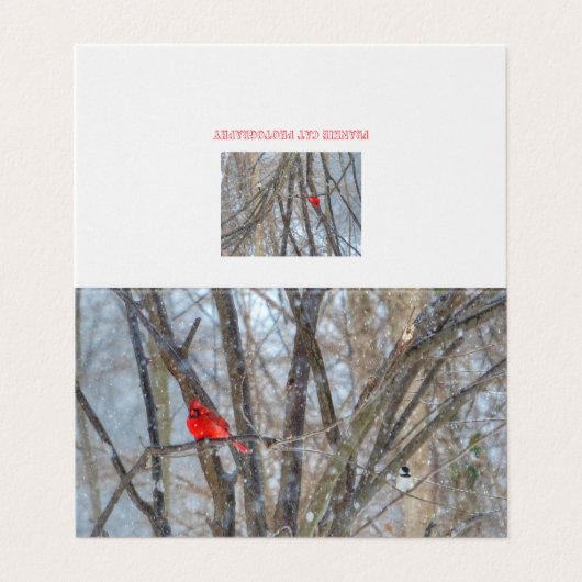 Cardinal et carte de voeux pour le poulet (Outside Unfolded)