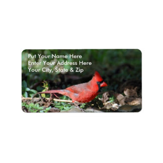 Cardinal Étiquette