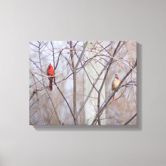 Cardinal family canvas afdruk (Voorkant)