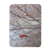 Cardinal family magneet (Verticaal)