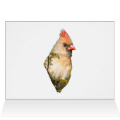 Cardinal Féminin En À feuillage persistant (Intérieur Horizontal (Haut))