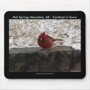 Cardinal Hot Springs Nat. Park Mt AR Geschenken Kl Muismat