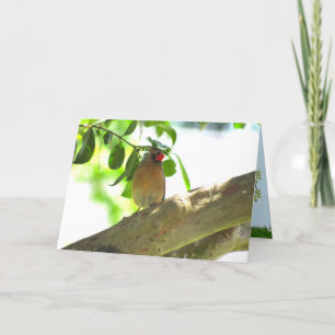 Cardinal Jardin Femme Carte pliée