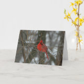 Cardinal Kaart (Gele Bloem)