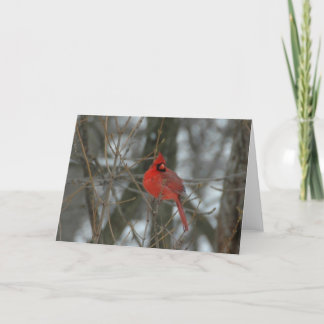 Cardinal Kaart