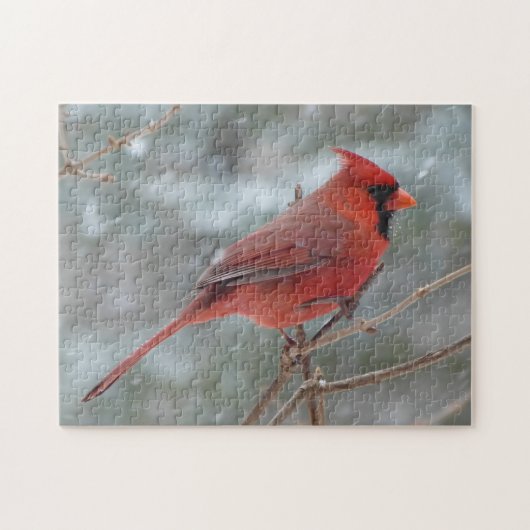 CARDINAL LEGPUZZEL (Horizontaal)