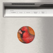 cardinal magneet (Insitu (Vaatwasser))