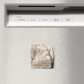 Cardinal Magnet (In Situ (Lave-vaisselle))