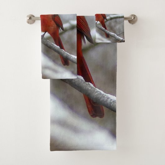 Cardinal masculin (En situation)